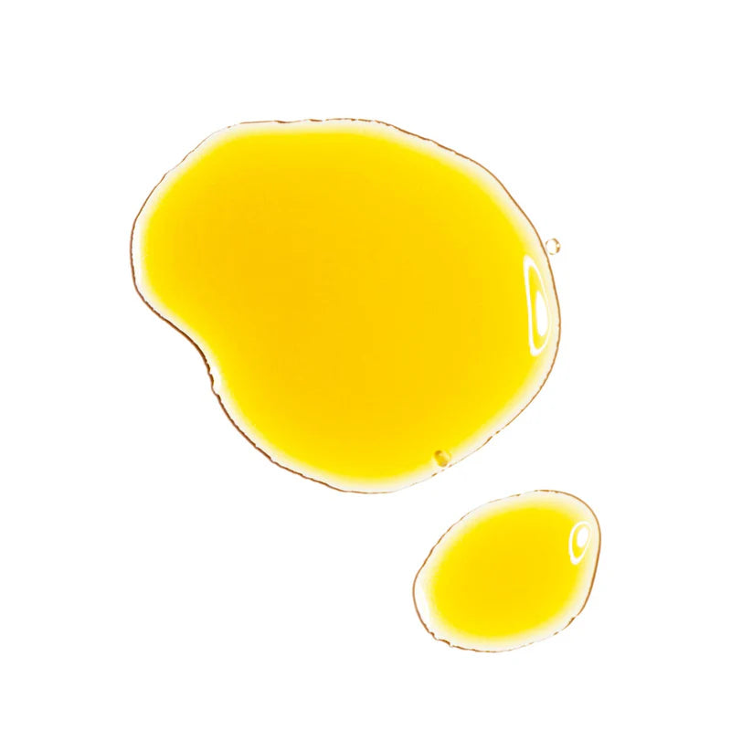 Resveratrol 3% + Ferulic Acid 3% – Antioxidant Powerhouse for Skin Protection & Radiance